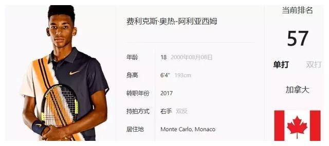 逐步形成了 逐步形成了